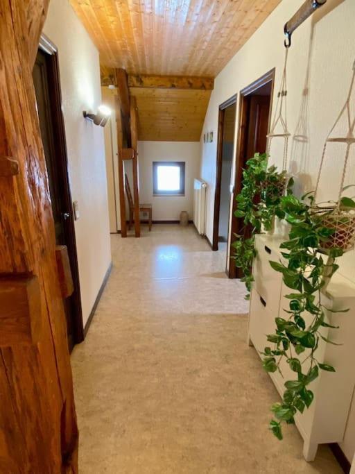 Apartment 4 Personnes - Pleine Nature